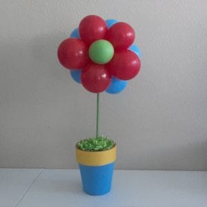 Balloon Flower in a pot for centerpiece 1