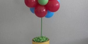 Balloon Flower in a pot for centerpiece 2