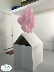 Box Gender Reveal for event