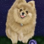 Finished ped portrait fluffy puppy scaled