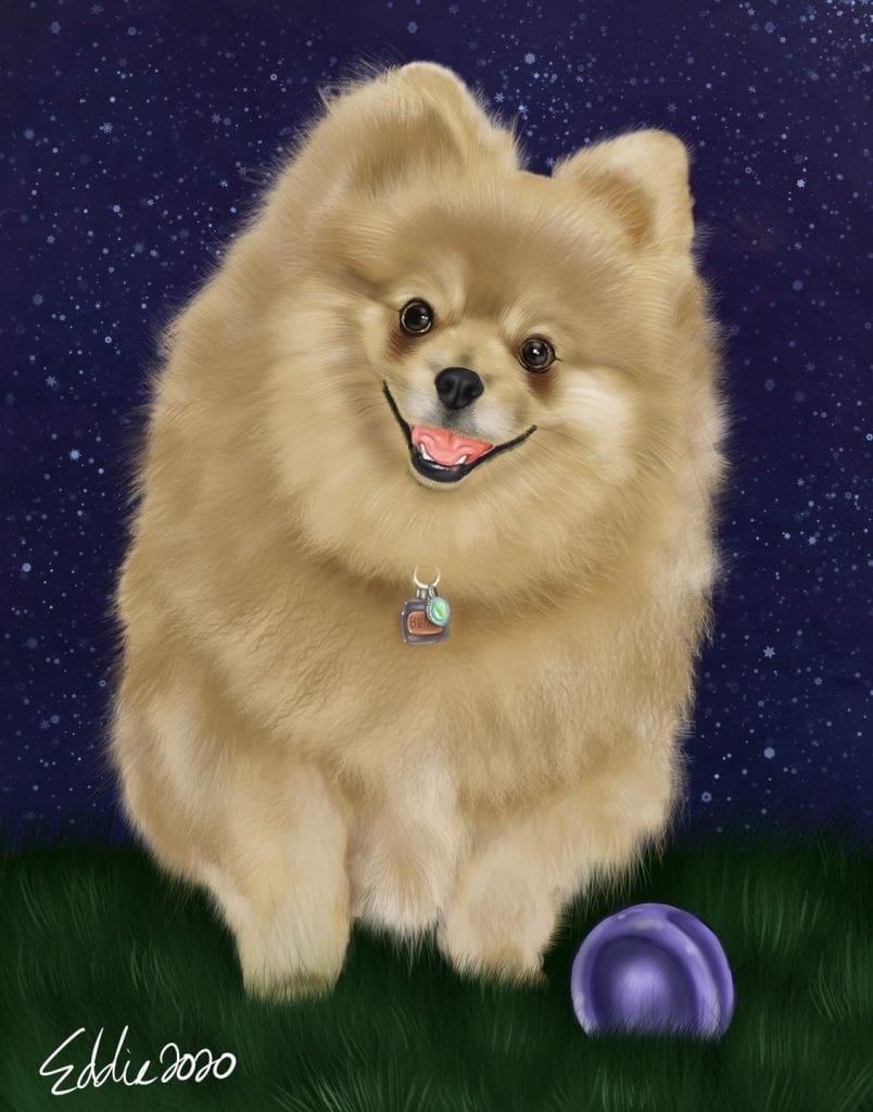 Finished ped portrait fluffy puppy scaled