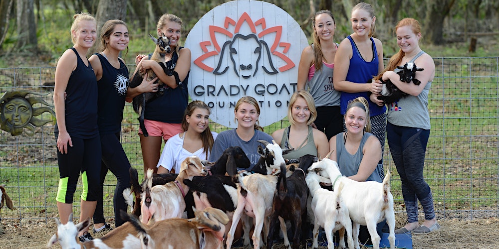 Grady-Goat-Yoga-Tampa-Bay-YTE-Events-and-Balloon-Decor-Services-Parties-and-Events