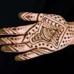 Hand Designs in Mendhi Henna Tampa Florida