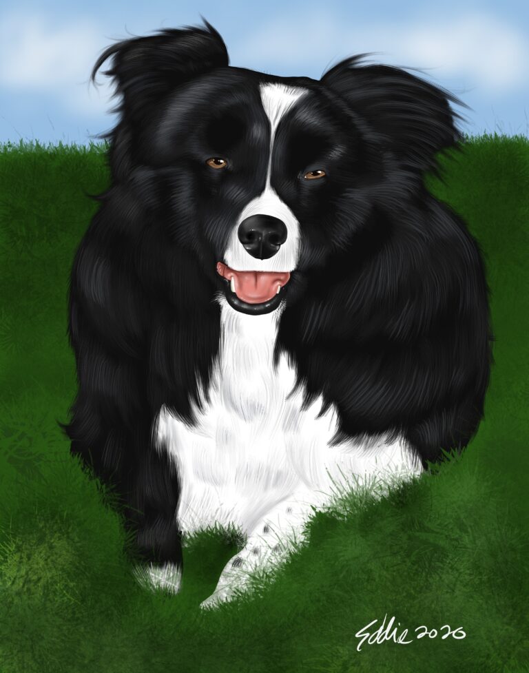 Caricature Animal Portraits and Commissions