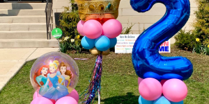 Princess Birthday party for 2 year old delivery with balloons Tampa