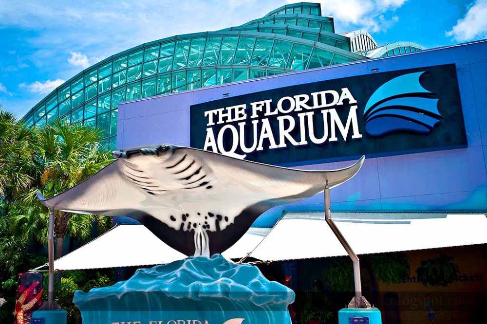 The-Florida-Aquarium-YTE-Events-and-Balloon-Decor-Tampa