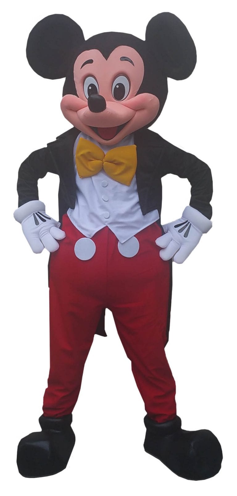 Popular Disney Mascot Character Entertainers for Children
