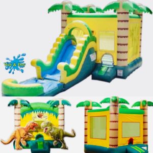 Wet and Dry bounce house options for birthday parties or events
