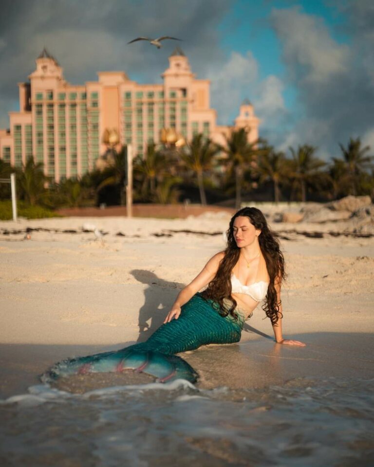 Experience the Magic: Meet a Mermaid in Tampa