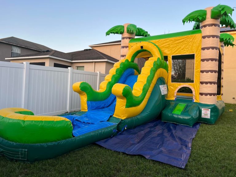 Birthday Party Bounce House Options